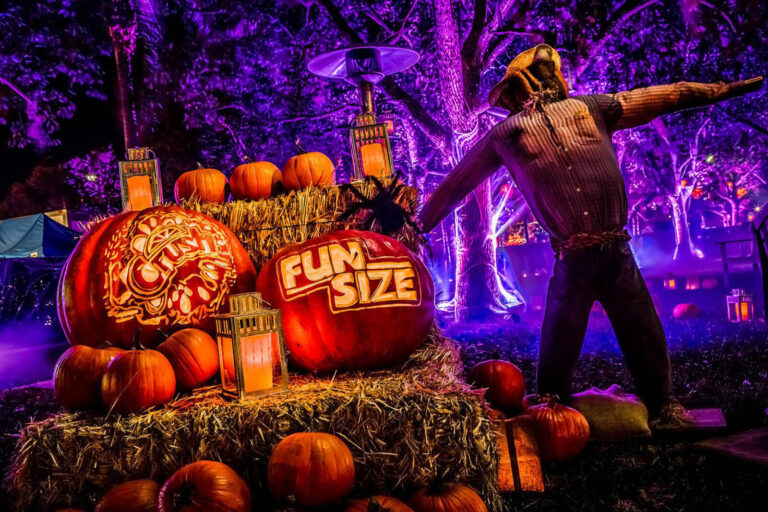 pumpkins, hay bales, and scarecrow decorations at Fun Size movie premiere event